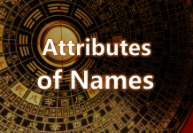 Testing the Attributes of Names
