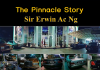 The Pinnacle Story – Sir
