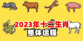 兔年生肖運程+兔年開運貼士