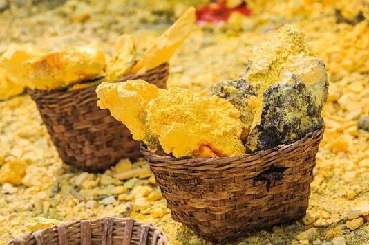 药性最好的中药一览表