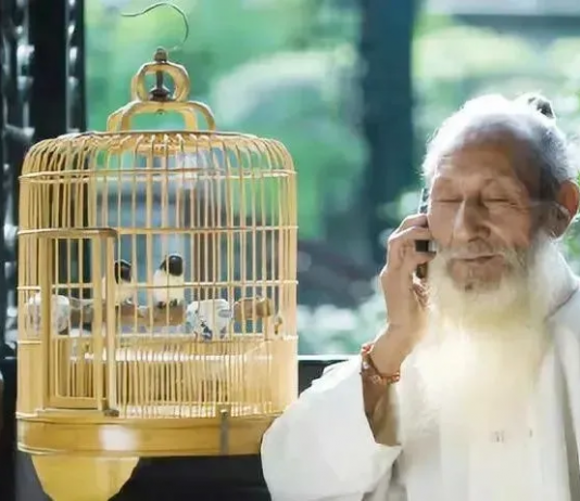 靠自愈力修复身体疾病